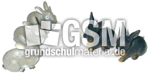 Hasen3+2.jpg